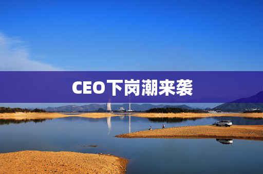 CEO下岗潮来袭