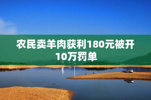 农民卖羊肉获利180元被开10万罚单