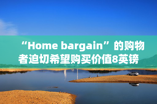 “Home bargain”的购物者迫切希望购买价值8英镑的“神奇”袜子填充物