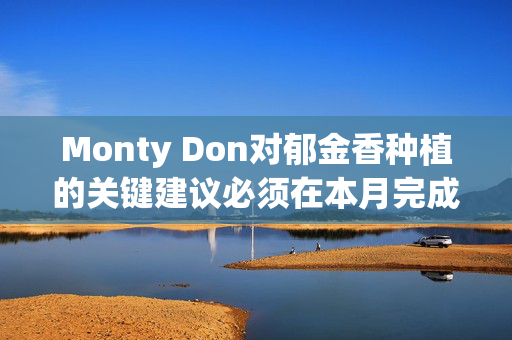 Monty Don对郁金香种植的关键建议必须在本月完成，否则你会在春天后悔的