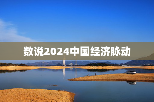 数说2024中国经济脉动