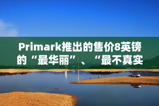 Primark推出的售价8英镑的“最华丽”、“最不真实”手袋是购物者们迫切想买的