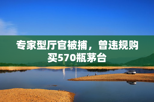 专家型厅官被捕，曾违规购买570瓶茅台